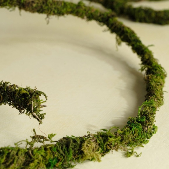 Anthropologie. Terrain grlnd moss vine 12 - Picture 2 of 3